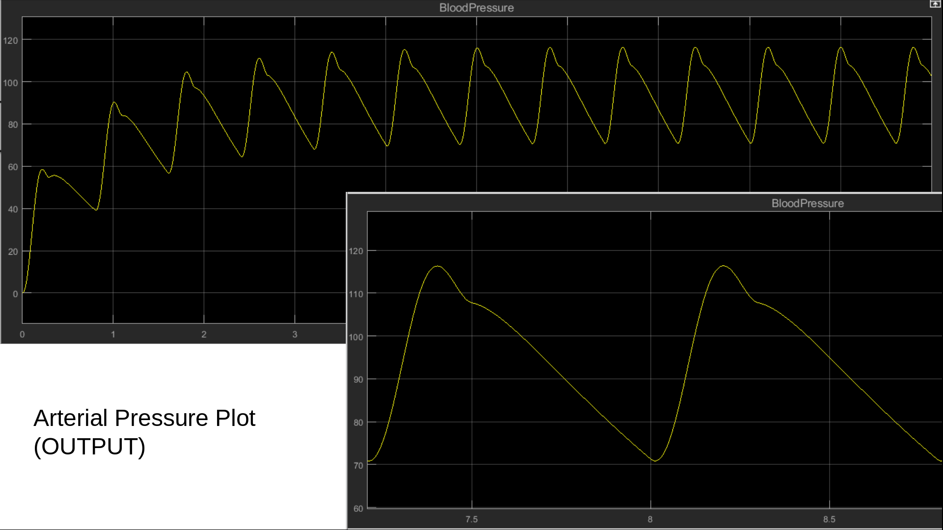 Pressure Variation in MCL